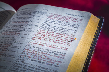 Mustard seeds on a open Bible page illustrating the verse - if you have faith as small as a mustard seed- Matthew 17:20