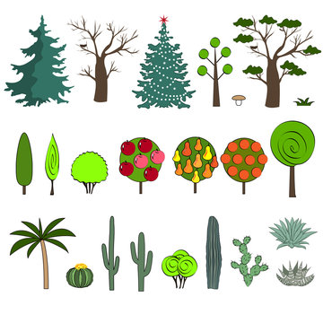 Vector illustration of different kind of tree