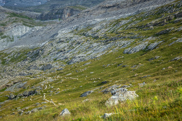 View of Ordesa valley and Monte Perdido massif, Pyrenees, Spain.