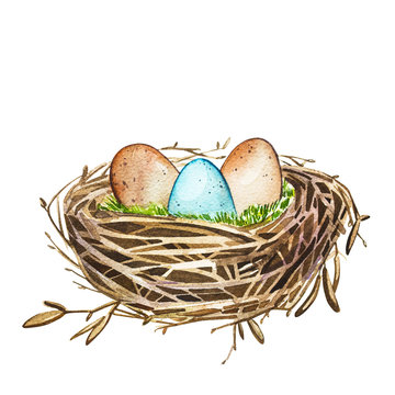 Hand drawn watercolor art bird nest with eggs , easter design. Isolated illustration on white background.