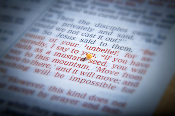 Mustard seeds on a open Bible page illustrating the verse - if you have faith as small as a mustard seed- Matthew 17:20