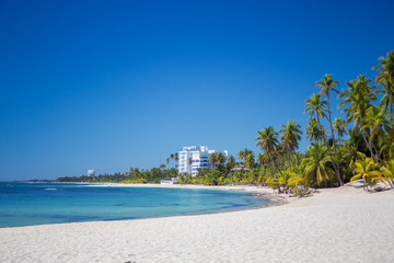 Tropical sand Beach on the Caribbean sea. Clear blue sea and high palm trees	