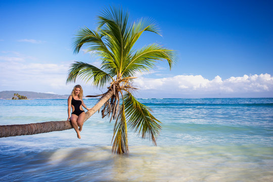 young sexy lady in black bikini sitting on palm tree over blue sea
