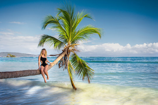 young sexy woman in black bikini sitting on palm tree over blue sea