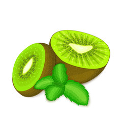 Naklejka na ściany i meble Composition of several kiwi and mint leaves. Ripe vector kiwifruits with fresh pepper mint leaf appetizing looking. Group of tasty fruits colorful design for packaging of juice breakfast, healthy food