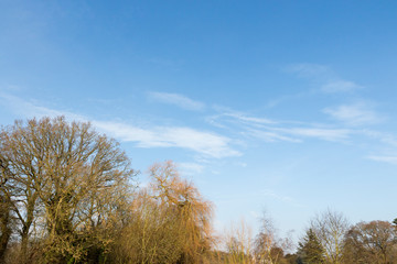 Autumn time in the countryside