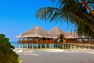 Cafe on tropical Maldives island