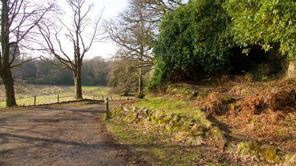 Path in Mugdock Country Park