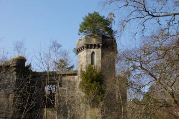 Castle ruin tower with tree growing on top