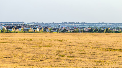 Fototapeta na wymiar Landscape with a rye field and suburban houses on the horizon. Rural landscape. Belgorod region, Russia.