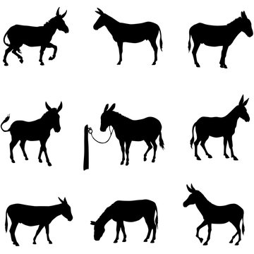 silhouettes of a donkey. black vector clipart