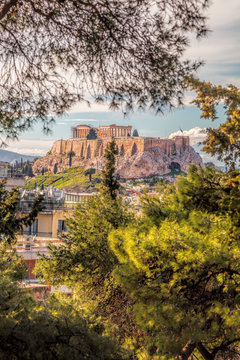 Parthenon temple with spring trees on the Acropolis in Athens, Greece