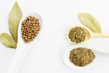 Various spices oregano, coriander seeds, bay leaves and cumin seeds