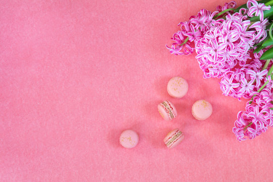 Beautiful spring holiday background. Fresh pink hyacinth and sweet macaroons on pink copy space groundwork.