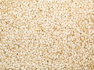 many white sesame seeds