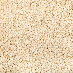 many white sesame seeds close up