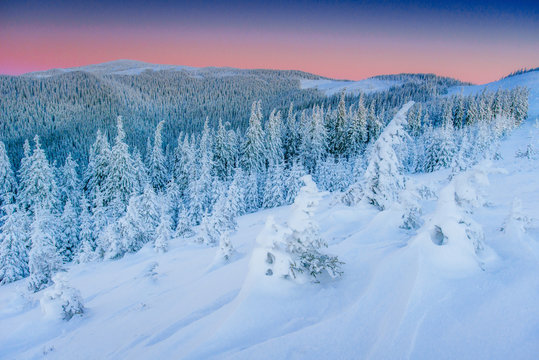 Fantastic winter landscape in the mountains of Ukraine.