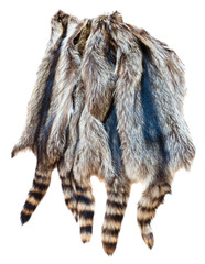 several natural raccoon pelts