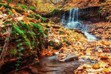Waterfall in autumn sunlight. Beauty world. Carpathians Ukraine Europe