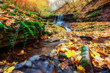 Naklejka na ściany i meble Waterfall in autumn sunlight. Beauty world. Carpathians. Ukraine. Europe