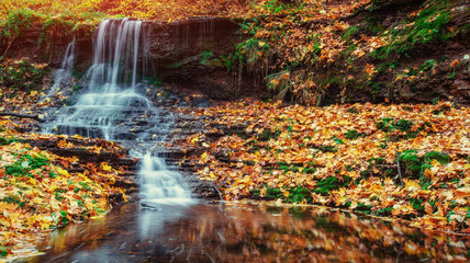 Plakat Waterfall in autumn sunlight. Beauty world. Carpathians. Ukraine. Europe