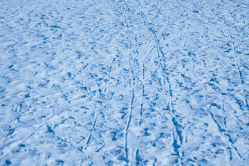 the texture of the snow , footprints in the snow