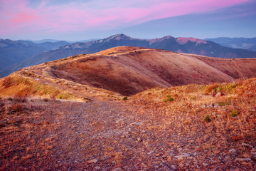 autumn alley. Dramatic morning scenery. Carpathian, Ukraine