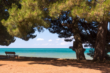 Fototapeta na wymiar A pine tree on sand beach. Turquoise seashore and clouds. Croatian beach landscape.