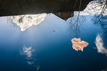 Photo sur Plexiglas Canal Fallen leave and reflection at Birmingham canal water surface
