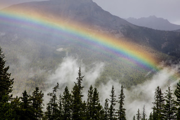 Enter the Rainbow