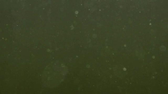 Underwater as waves crash above on a New Jersey beach, 240fps