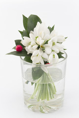 Bouquet of Fresh Snowdrops in a Glass of Water