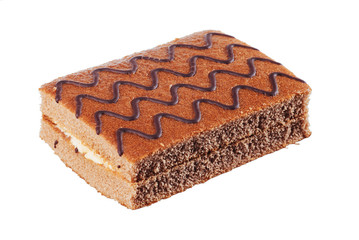 Tasty chocolate biscuit cake watered. Advertising photography