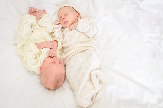newborn twin babies portrait