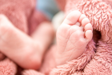 newborn baby feet in a towel, indoor image