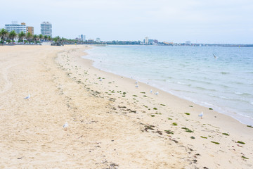 Albert park beach in Melbourne,  Australia