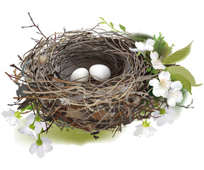 Bird's Nest.
Hand drawn vector illustration of a nest with two white eggs, surrounded by spring flowers and green shoots, on white background.
- 137130358