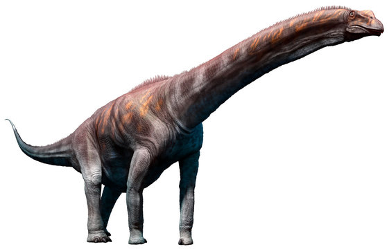 Argentinosaurus from the Cretaceous era 3D illustration