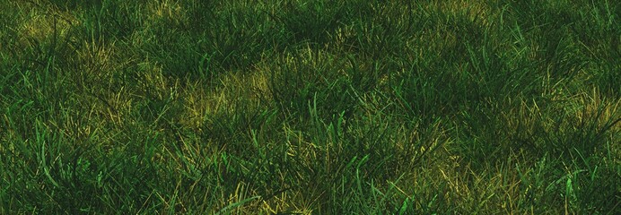 Wiese mit wilden langen Grashalmen