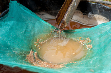 Sago Making. Sago is extracted from the sago palm by cutting the pith from the stem, root, grinding...