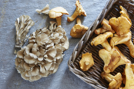 Whole uncooked porcini and oyster mushrooms 