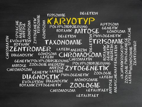 Karyotyp