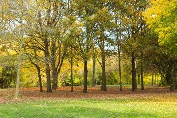 Naklejka premium Middle England countryside
