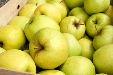A bunch of green apples on the table in the market, Novi Sad, Serbia