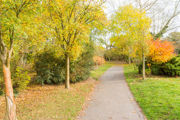Fototapeta na wymiar Autumn colors in the English countryside