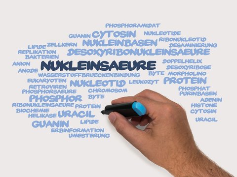 Nukleins&auml;ure