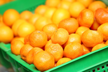 Basket with tangerines in market