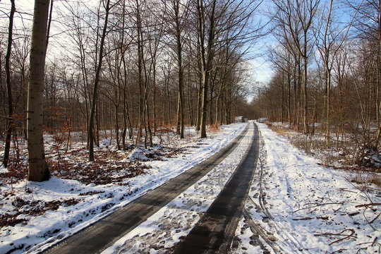 Fototapeta Snow slippery forest road in February in sunshine