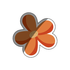 Beautiful flowers ornament icon vector illustration graphic design