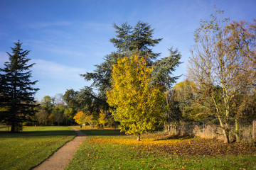 Leicester-shire countryside